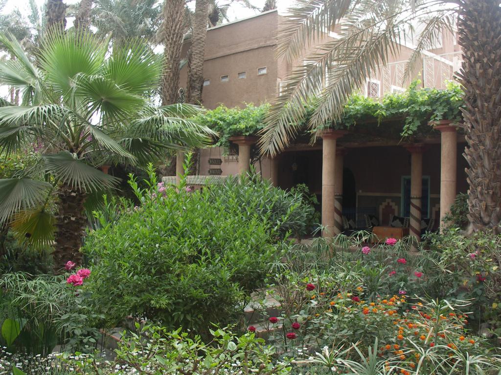 Fibule Du Draa Kasbah D'hôtes Zagora Bagian luar foto