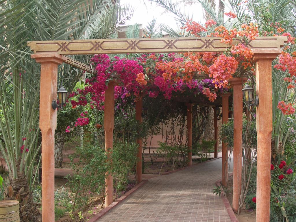 Fibule Du Draa Kasbah D'hôtes Zagora Bagian luar foto