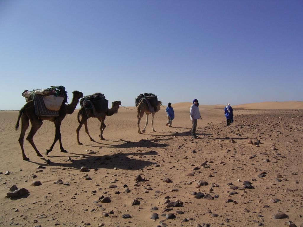 Fibule Du Draa Kasbah D'hôtes Zagora Bagian luar foto