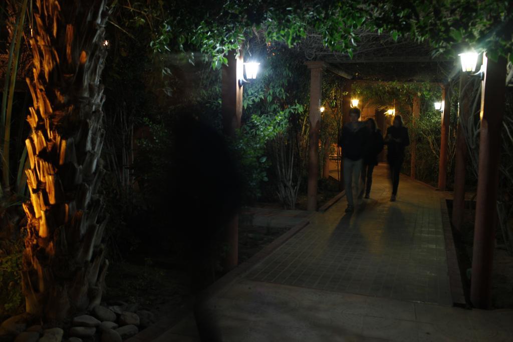 Fibule Du Draa Kasbah D'hôtes Zagora Bagian luar foto