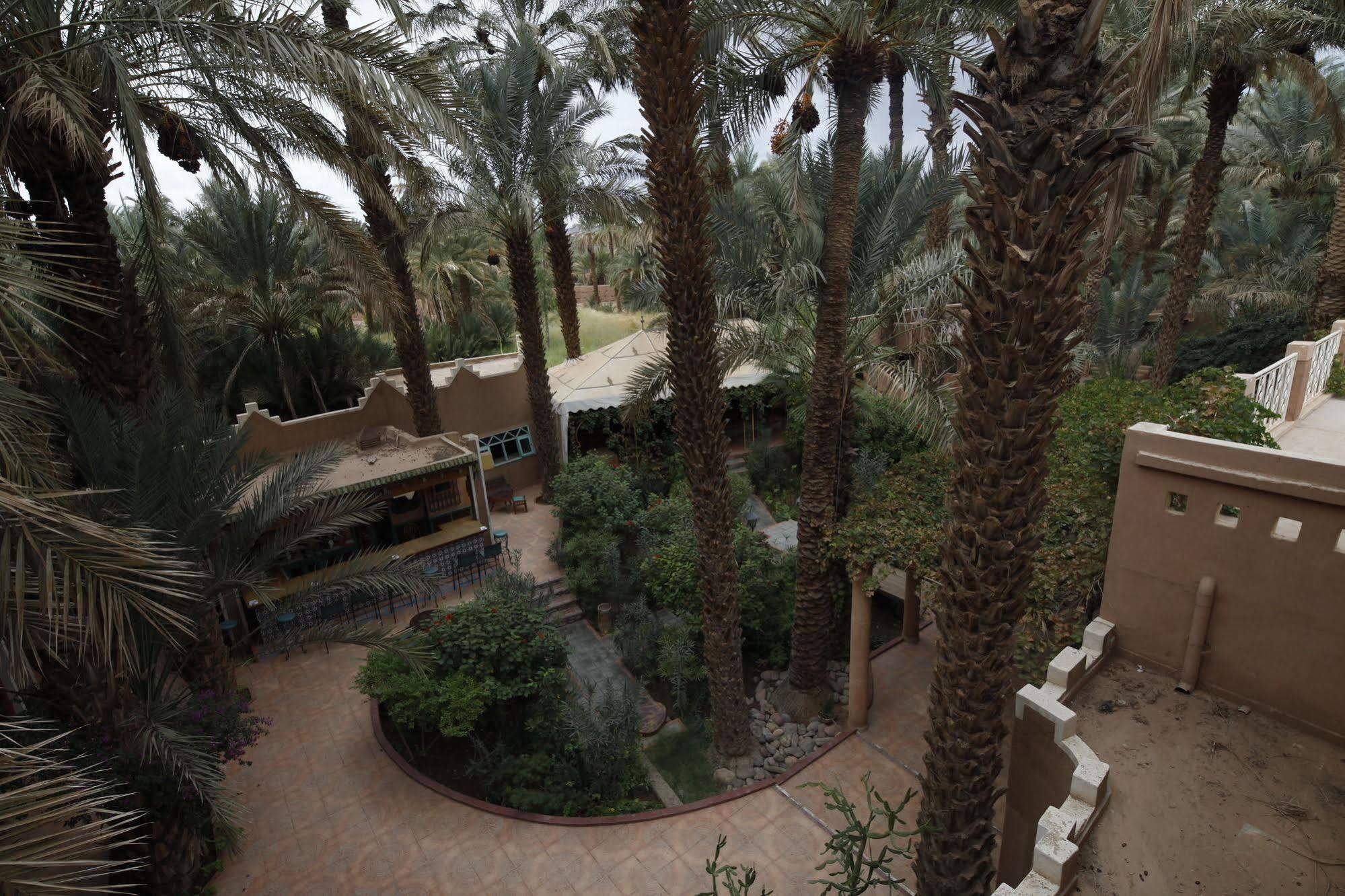 Fibule Du Draa Kasbah D'hôtes Zagora Bagian luar foto