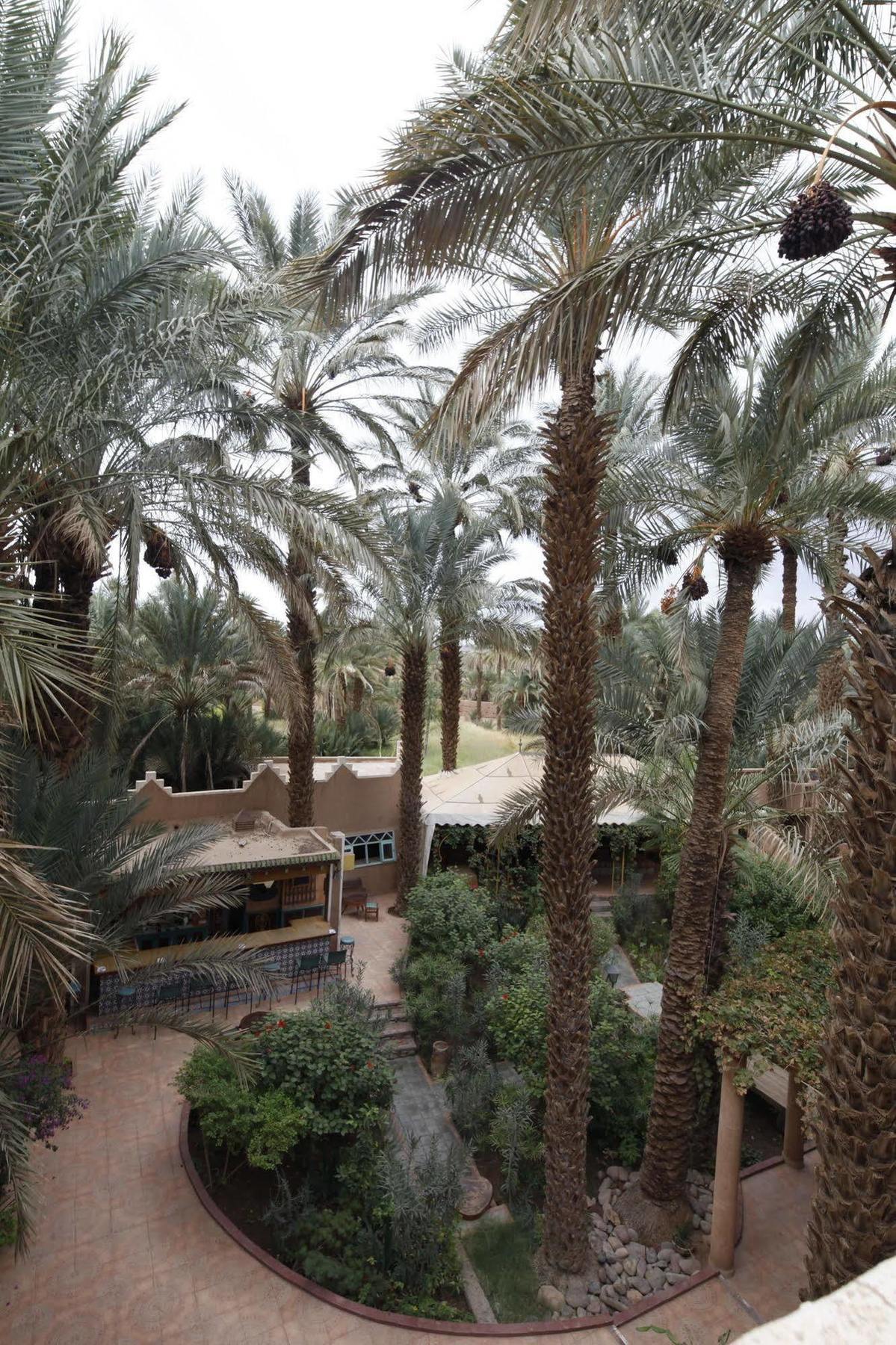 Fibule Du Draa Kasbah D'hôtes Zagora Bagian luar foto